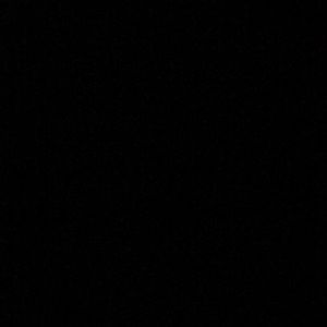 Meet your Posher, Daisy